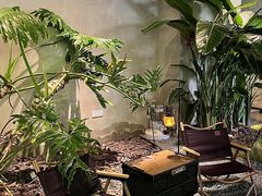 -J Create城市露营咖啡·简餐·宠物(上海动物园店)