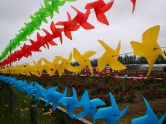 -上海长兴岛郊野公园