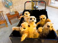 -麦当劳(中山公园龙之梦店)