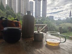 -成都市活水公园