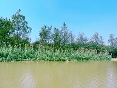 -西安浐灞国家湿地公园