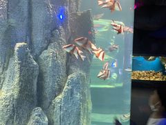 -福州罗源湾海洋世界旅游区