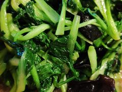 野生黑木耳炒鸡毛菜-深山老屋(张江店)