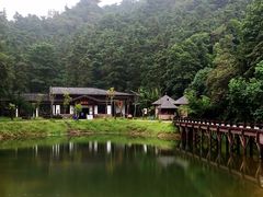 -酒仙湖景区