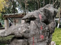 -重庆彩云湖湿地公园