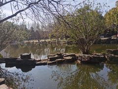 -范蠡湖公园