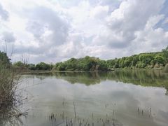 -白鹭湾湿地公园
