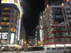 -秋叶原电器街