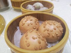 -顺德渔村·岭南一号