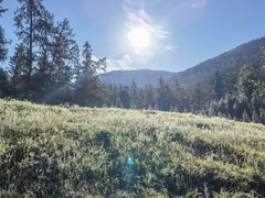 -喀纳斯鸿福生态度假酒店