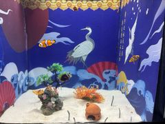 -烟台海昌鲸鲨海洋公园