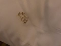-上海佘山世茂艾美酒店