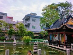 -碧江金楼