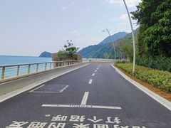 -杨梅坑