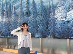 -世界之窗阿尔卑斯冰雪世界