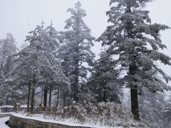 -峨眉山风景名胜区