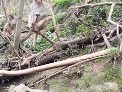 -黔灵山公园