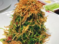 巧拌豆苗-四季民福烤鸭店(王府井东安门店)