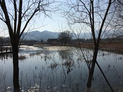 -长兴太湖图影湿地文化园