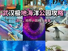 -海合安武汉极地海洋公园