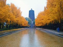 -玲珑塔公园