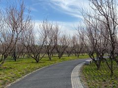 -东郊湿地公园