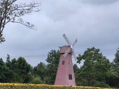 -同里国家湿地公园