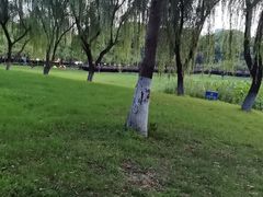 -荷花公园
