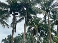 -石梅湾艾美度假酒店