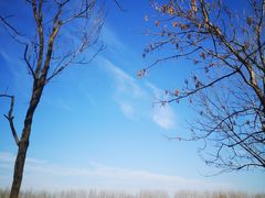-东郊湿地公园