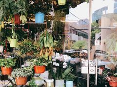 -静岸花卉园艺(三星坊店)