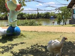 -鄱阳湖国家湿地公园