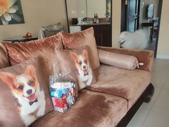 -太阳岛度假酒店