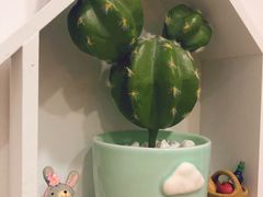 -50岚台湾鲜茶(大信店)