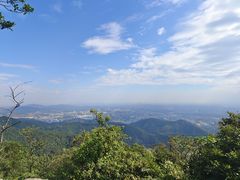 -东莞市大岭山森林公园