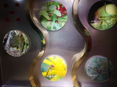 -上海昆虫博物馆