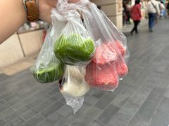 -沈大成(南京东路店)