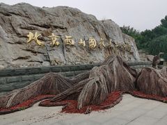 -北京西山国家森林公园