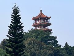 -深圳仙湖植物园