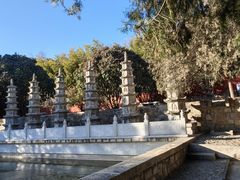 -泰山风景名胜区-普照寺