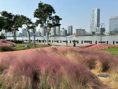 -浦江悦(陆家嘴保利广场店)