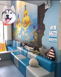 -马博士婴幼儿游泳馆(广安门旗舰店)