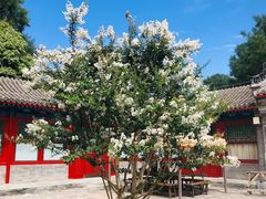 -恭王府博物馆