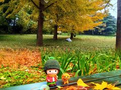 -国家植物园南园