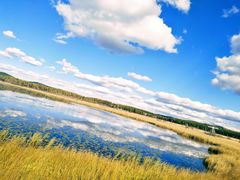 -塞罕坝国家级自然保护区