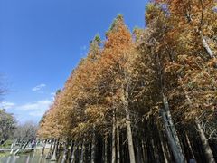 -捞渔河湿地公园
