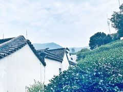 -帐篷客·溪龙茶谷度假酒店