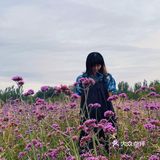 国内小众旅行|包头·赛汗塔拉城中草原🎪