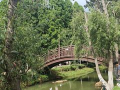 -捞渔河湿地公园