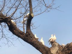 -玄武湖景区-情侣园游乐场